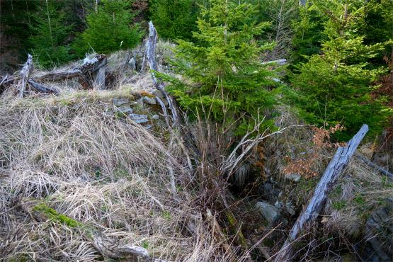 Beskid Śląski: Tajemnicze Ruiny Schroniska „Magura – Kąpielisko”