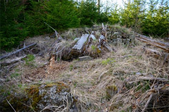 Beskid Śląski: Tajemnicze Ruiny Schroniska „Magura – Kąpielisko”