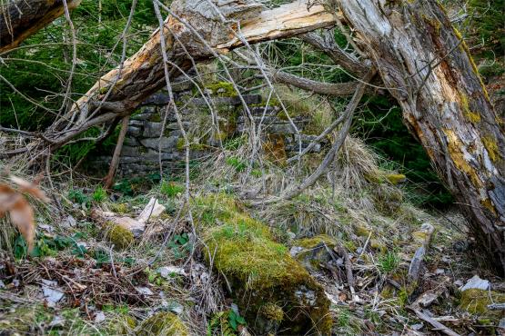 Beskid Śląski: Tajemnicze Ruiny Schroniska „Magura – Kąpielisko”