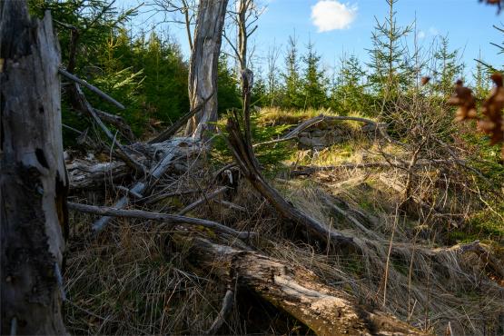 Beskid Śląski: Tajemnicze Ruiny Schroniska „Magura – Kąpielisko”