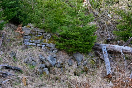 Beskid Śląski: Tajemnicze Ruiny Schroniska „Magura – Kąpielisko”