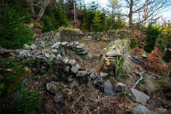 Beskid Śląski: Tajemnicze Ruiny Schroniska „Magura – Kąpielisko”