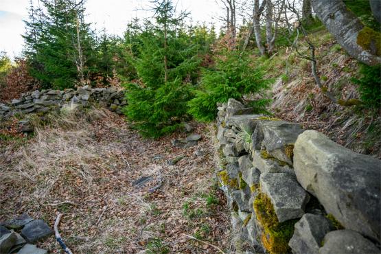 Beskid Śląski: Tajemnicze Ruiny Schroniska „Magura – Kąpielisko”