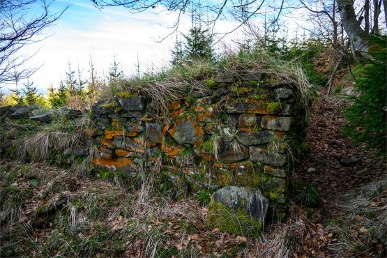 Beskid Śląski: Tajemnicze Ruiny Schroniska „Magura – Kąpielisko”