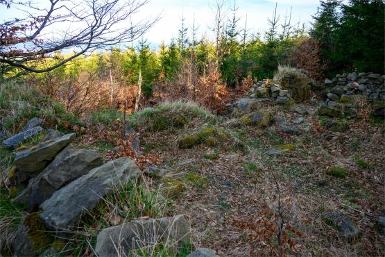 Beskid Śląski: Tajemnicze Ruiny Schroniska „Magura – Kąpielisko”