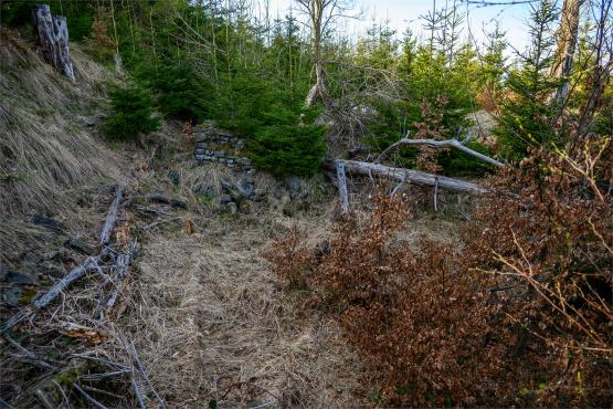 Beskid Śląski: Tajemnicze Ruiny Schroniska „Magura – Kąpielisko”