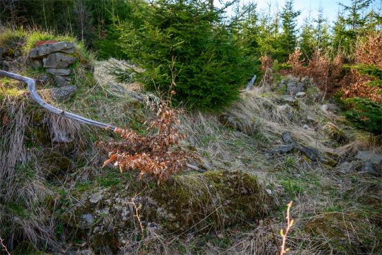 Beskid Śląski: Tajemnicze Ruiny Schroniska „Magura – Kąpielisko”