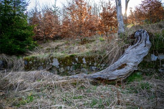 Beskid Śląski: Tajemnicze Ruiny Schroniska „Magura – Kąpielisko”