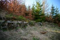 Beskid Śląski: Tajemnicze Ruiny Schroniska „Magura – Kąpielisko” Beskid Śląski: Tajemnicze Ruiny Schroniska „Magura – Kąpielisko”