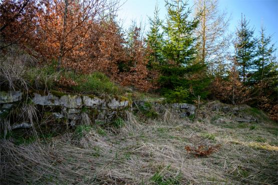 Beskid Śląski: Tajemnicze Ruiny Schroniska „Magura – Kąpielisko”