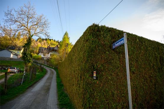 Beskid Śląski: Tajemnicze Ruiny Schroniska „Magura – Kąpielisko”