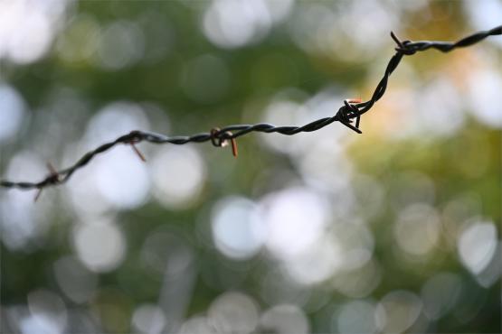 Schron Waligóra – zwiedzanie, historia, zdjęcia