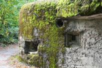 Węgierska Górka: Ciężki Schron Bojowy „Waligóra” – Historia Obrony Południa Polski