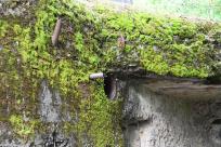 Węgierska Górka: Ciężki Schron Bojowy „Waligóra” – Historia Obrony Południa Polski