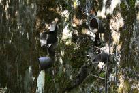 Węgierska Górka: Ciężki Schron Bojowy „Waligóra” – Historia Obrony Południa Polski