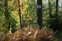 Węgierska Górka: Ciężki Schron Bojowy „Waligóra” – Historia Obrony Południa Polski