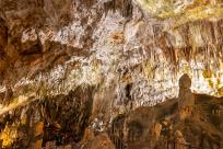 Jaskinia Postojna: Podziemne Królestwo Słowenii, Które Cię Zachwyci!