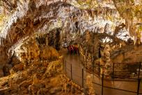 Jaskinia Postojna: Podziemne Królestwo Słowenii, Które Cię Zachwyci!