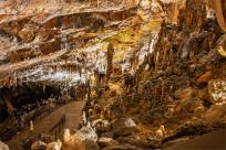 Jaskinia Postojna: Podziemne Królestwo Słowenii, Które Cię Zachwyci!