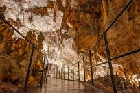 Jaskinia Postojna: Podziemne Królestwo Słowenii, Które Cię Zachwyci!