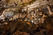 Jaskinia Postojna: Podziemne Królestwo Słowenii, Które Cię Zachwyci!