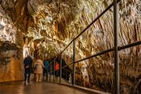 Jaskinia Postojna: Podziemne Królestwo Słowenii, Które Cię Zachwyci!