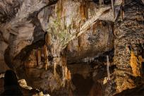 Jaskinia Postojna: Podziemne Królestwo Słowenii, Które Cię Zachwyci!