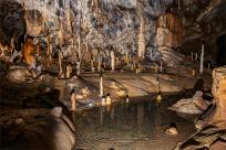 Jaskinia Postojna: Podziemne Królestwo Słowenii, Które Cię Zachwyci!