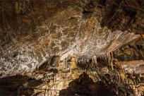 Jaskinia Postojna: Podziemne Królestwo Słowenii, Które Cię Zachwyci!