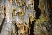 Jaskinia Postojna: Podziemne Królestwo Słowenii, Które Cię Zachwyci!