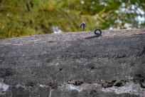 Rygiel obronny „Węgierska Górka” – Schron bojowy „Wąwóz”