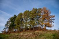 Rygiel obronny „Węgierska Górka” – Schron bojowy „Wąwóz”
