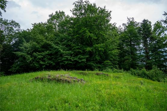 Zamek Wołek: Opowieść o Zapomnianej Twierdzy i Ciemnej Stronie Beskidu Małego