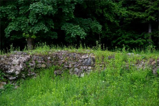 Zamek Wołek: Opowieść o Zapomnianej Twierdzy i Ciemnej Stronie Beskidu Małego