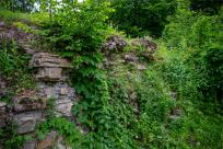 Zamek Wołek: Opowieść o Zapomnianej Twierdzy i Ciemnej Stronie Beskidu Małego