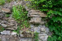 Zamek Wołek: Opowieść o Zapomnianej Twierdzy i Ciemnej Stronie Beskidu Małego