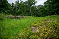 Zamek Wołek: Opowieść o Zapomnianej Twierdzy i Ciemnej Stronie Beskidu Małego