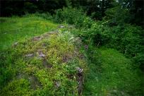 Zamek Wołek: Opowieść o Zapomnianej Twierdzy i Ciemnej Stronie Beskidu Małego