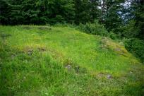 Zamek Wołek: Opowieść o Zapomnianej Twierdzy i Ciemnej Stronie Beskidu Małego