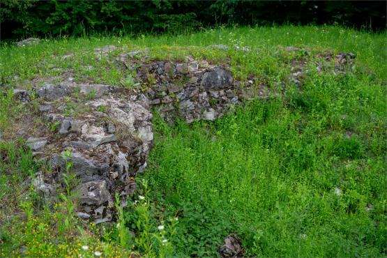 Zamek Wołek: Opowieść o Zapomnianej Twierdzy i Ciemnej Stronie Beskidu Małego