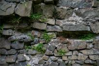 Zamek Wołek: Opowieść o Zapomnianej Twierdzy i Ciemnej Stronie Beskidu Małego