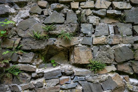 Zamek Wołek: Opowieść o Zapomnianej Twierdzy i Ciemnej Stronie Beskidu Małego