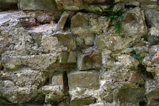 Zamek Wołek: Opowieść o Zapomnianej Twierdzy i Ciemnej Stronie Beskidu Małego