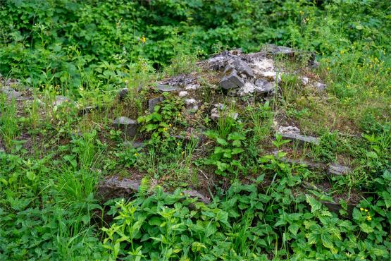 Zamek Wołek: Opowieść o Zapomnianej Twierdzy i Ciemnej Stronie Beskidu Małego