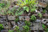 Zamek Wołek: Opowieść o Zapomnianej Twierdzy i Ciemnej Stronie Beskidu Małego