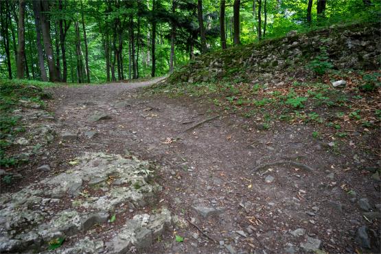 Zamek Wołek: Opowieść o Zapomnianej Twierdzy i Ciemnej Stronie Beskidu Małego