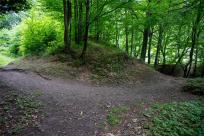 Zamek Wołek: Opowieść o Zapomnianej Twierdzy i Ciemnej Stronie Beskidu Małego