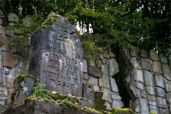 Kazimierz Dolny. Miasto, które pamięta więcej niż pokazuje...
