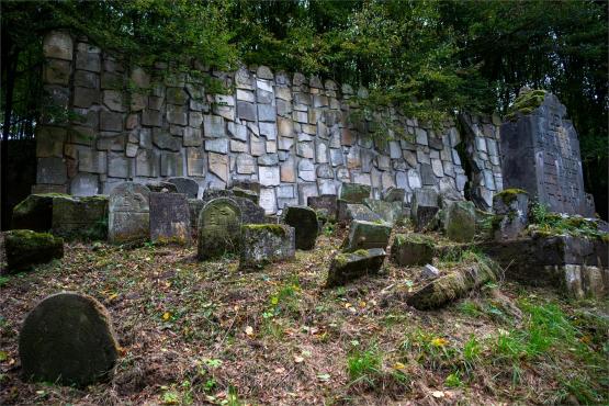 Kazimierz Dolny. Miasto, które pamięta więcej niż pokazuje...