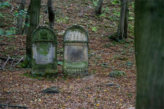 Kazimierz Dolny. Miasto, które pamięta więcej niż pokazuje...